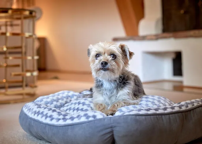 Hotel Relais & Chateaux Tennerhof 5*